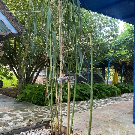 Gasthuis White House Sfântu Gheorghe