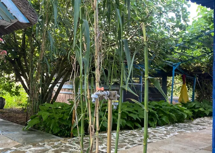 Gasthuis White House Sfântu Gheorghe